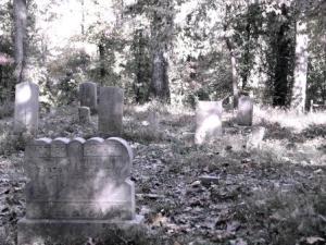 Stanton Cemetery on Tharp Trace Trail, Ijams